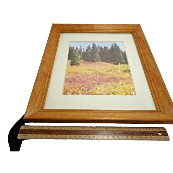 Steamboat Springs Colorado Landscape Trees Framed Photo Print Buffalo Pass - Picture 5 of 8